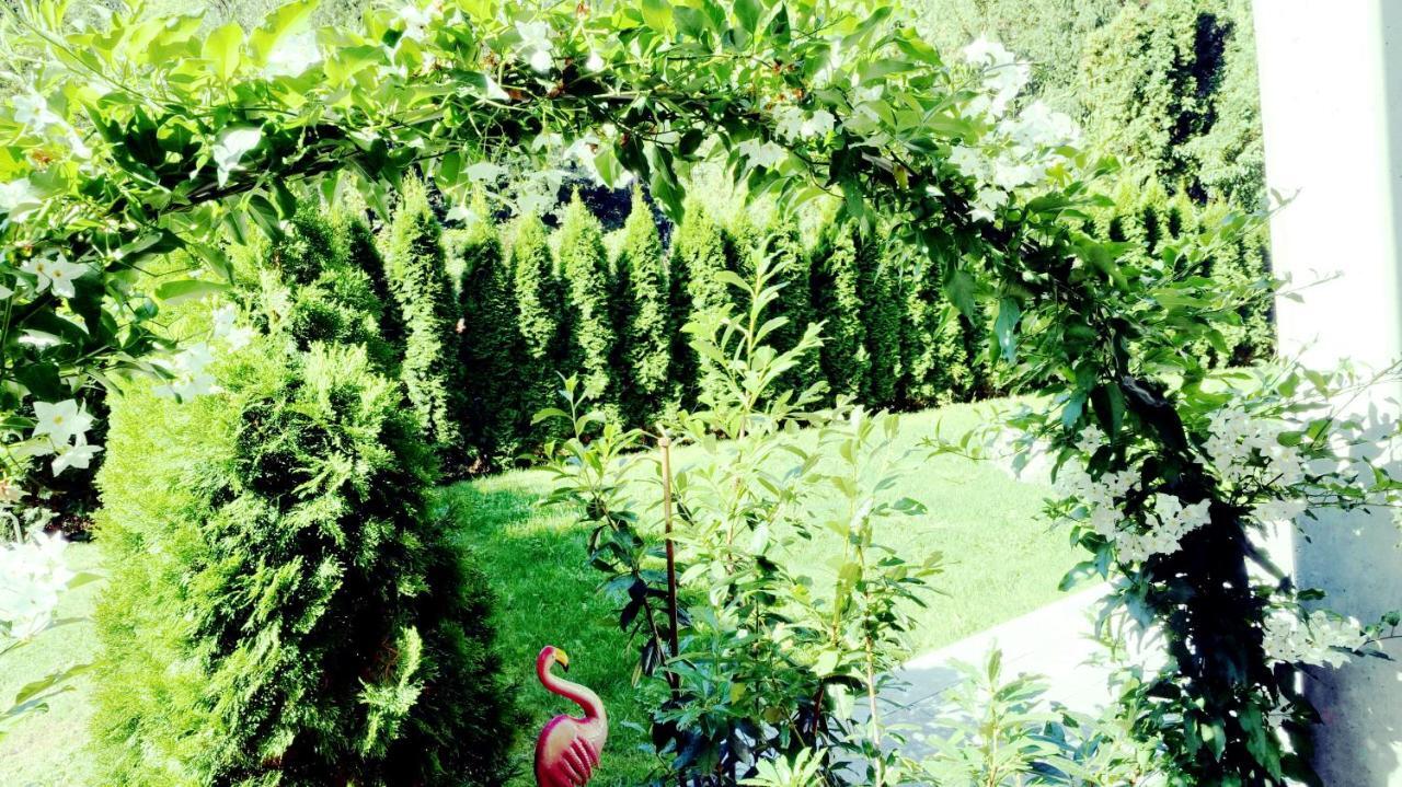 Flamind Holiday Apartments Mit Garten Und Grill Altenberg bei Linz 외부 사진